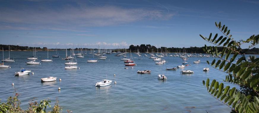 Bed and Breakfast La Ferme Du Vincin Vannes Exterior foto